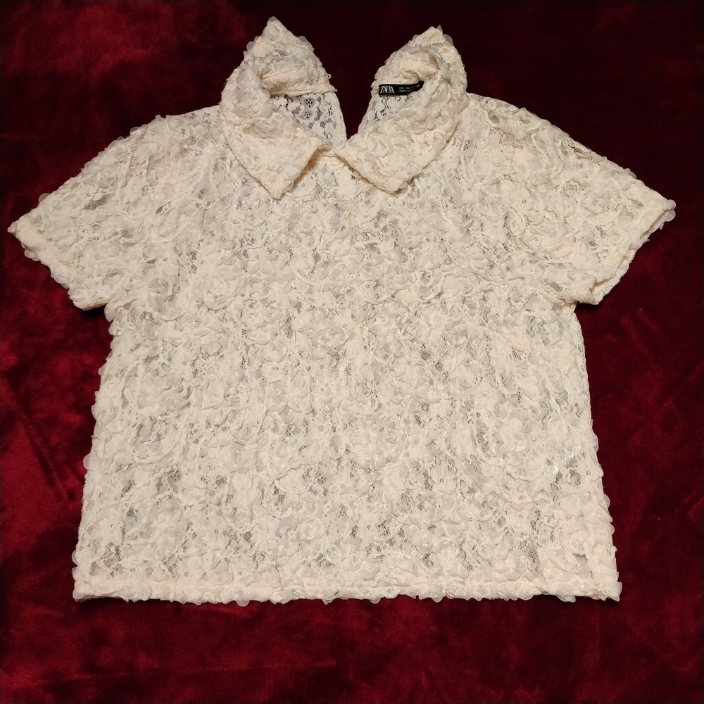 ZARA Ivory Lace Floral 3D Textured Collared Blouse | Romantic Vintage-Inspired
